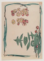 Kirschblüten mit Kiefernnadelrand aus der Serie Hana Kurabe, ca. 1880